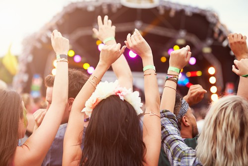 Festival staffing software