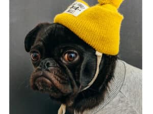 branding your event staffing agency